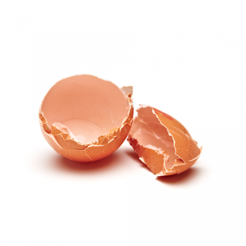 Photo of egg shells 