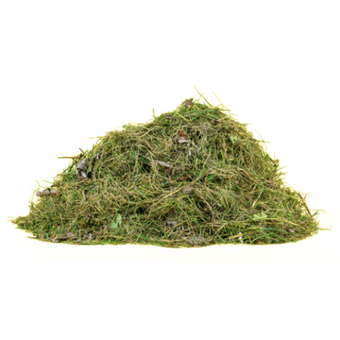 Photo of a pile of grass