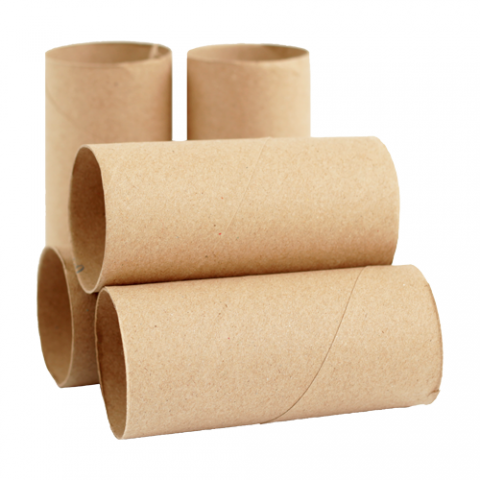 Photo of toilet rolls 